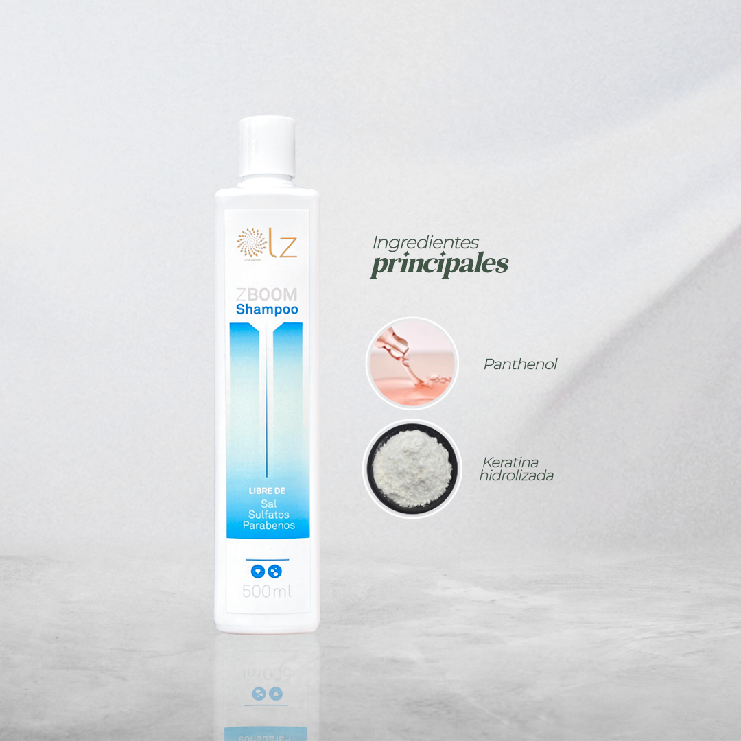 PROMO ZBOOM - SHAMPOO LIMPIEZA PROFUNDA 500ML - PAGA 1 LLEVA 2