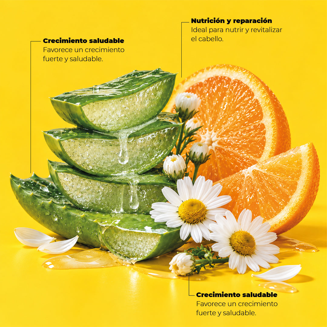 Shampoo Laminado 500ml