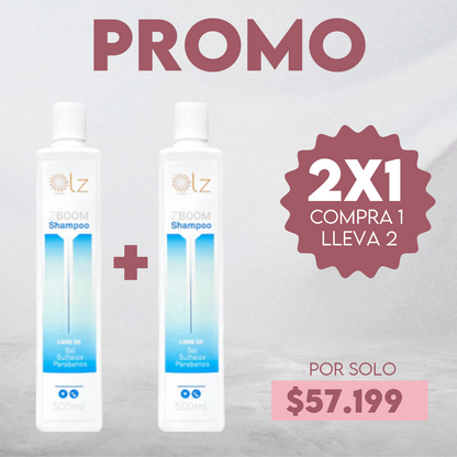 PROMO ZBOOM - SHAMPOO LIMPIEZA PROFUNDA 500ML - PAGA 1 LLEVA 2