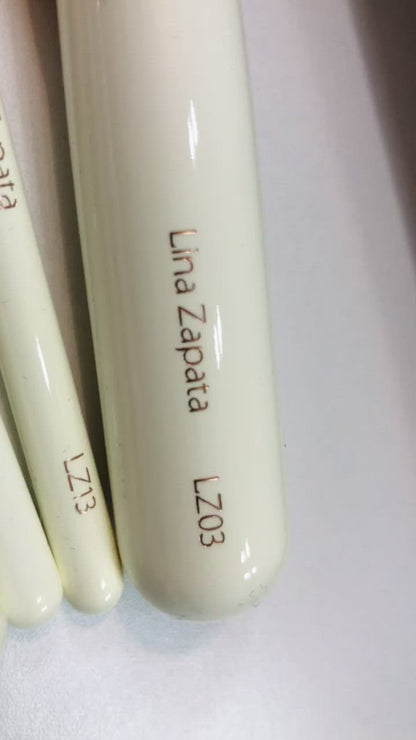 KIT BROCHAS PREMIUM PROFESIONALES LUXURY X24