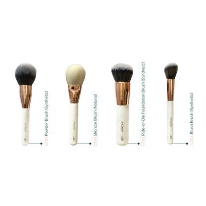 KIT BROCHAS PREMIUM PROFESIONALES LUXURY X24